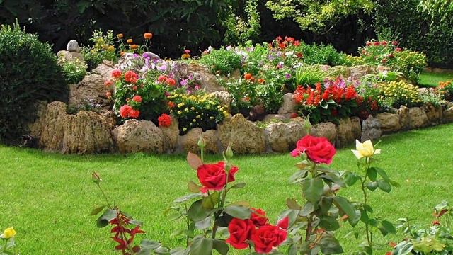 𝗥𝗢𝗖𝗔𝗟𝗟𝗔𝗦: COMO CONSTRUIR Y PLANTAR UNA ROCALLA смотреть онлайн