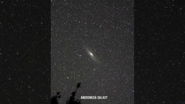 Andromeda Galaxy смотреть онлайн