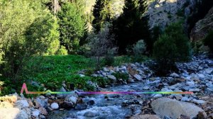 Зугра Меджидова - Новая Акушинка 2023