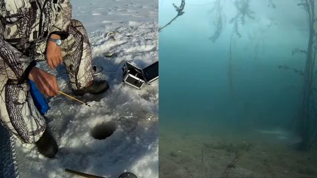 Как поймать рыбу в не клёвый день смотреть онлайн