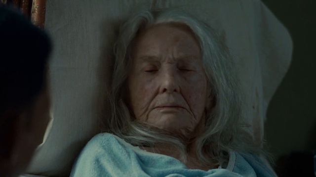 Seven Pounds (Семь жизней) - Gabriele Muccino, Will Smith (Уилл Смит), Fiona Hale, 2008 смотреть онлайн