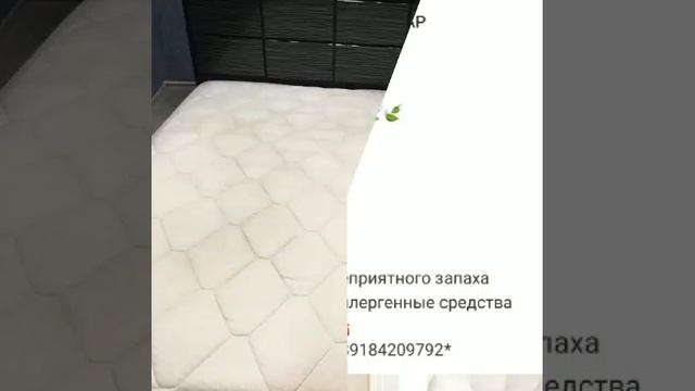 Химчистка мягкой мебели и ковров +79184209792 смотреть онлайн