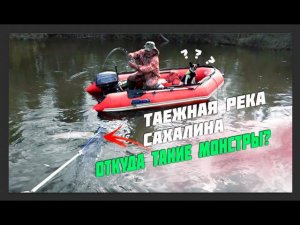 САХАЛИНСКИЕ МОНСТРЫ. ТАКИЕ СОЖРУТ ТОЛЬКО ТАК. ТАЁЖНАЯ РЕКА ЗАБИТА КРУПНЫМ ТАЙМЕНЕМ!!