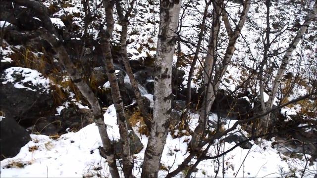 Река Ваенга. 22 октября 2017 года смотреть онлайн