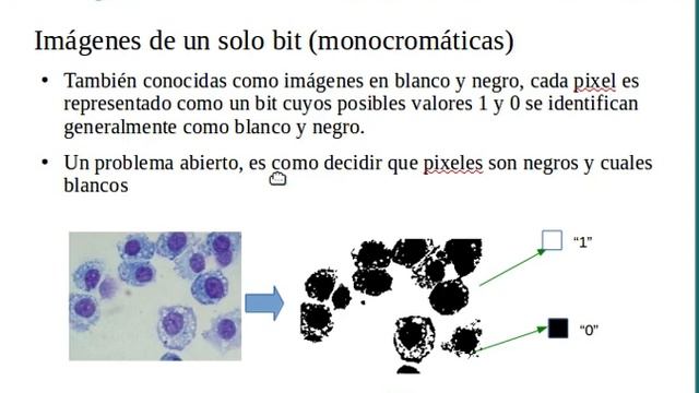 Representación de imágenes en computadora y formatos de imagen médica смотреть онлайн
