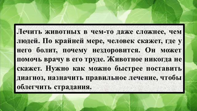 Сочинение на тему «Кем я хочу стать» смотреть онлайн