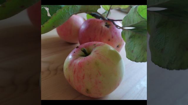 Диана Строгая - королеве👑 нужны клиенты | Сплетница смотреть онлайн