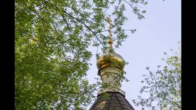 Проповедь отца Романа на отдание праздника Пасхи, 09.06.2021 смотреть онлайн