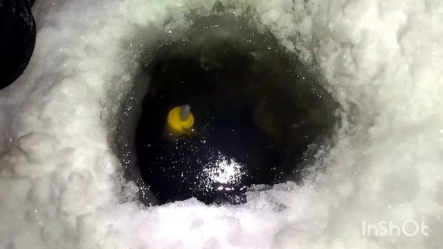 Зацепили запрещённую рыбу 😳!!!!! Ночная и дневная проверка поставков с разницей два дня!!!! смотреть онлайн