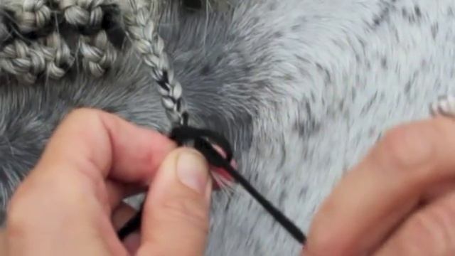 How to braid the hunter horse. смотреть онлайн