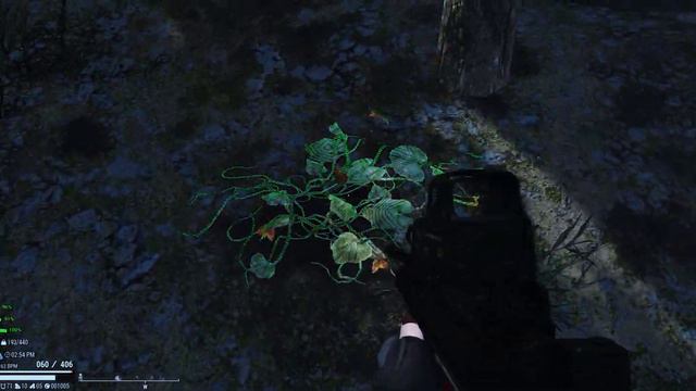 A Forest + Fallout4 HD Overhaul [WQHD - 3440:1440]
