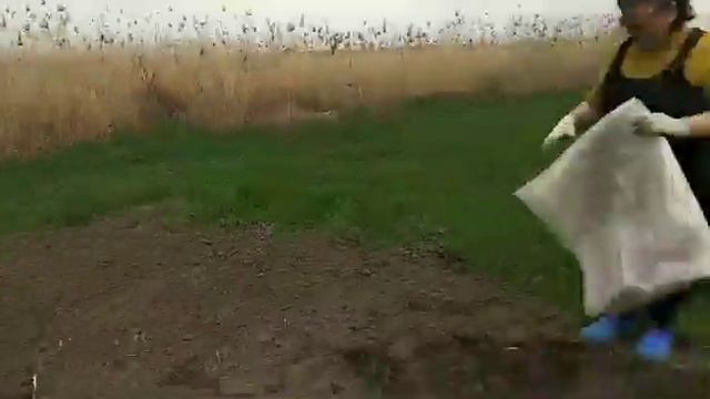 Капуста в ямки-парнички смотреть онлайн