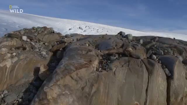 Дикая Скандинавия Побережье викингов смотреть онлайн