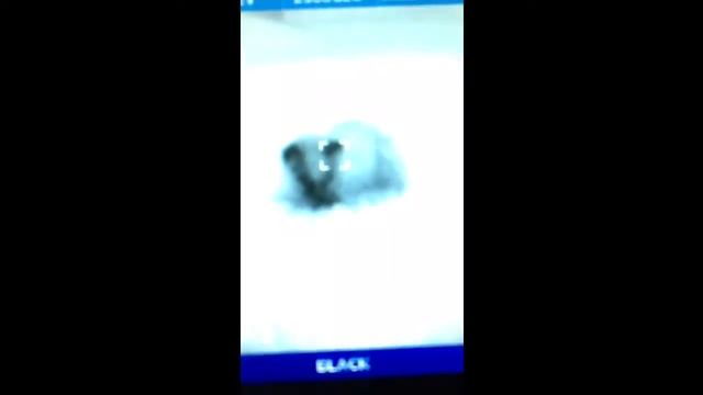 Filtros seek thermal смотреть онлайн