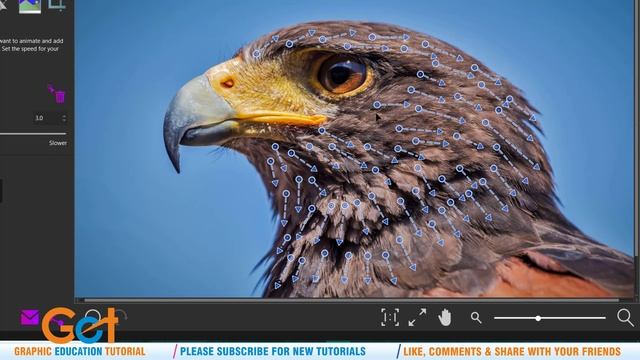 How to animate image in Corel Photomirage смотреть онлайн