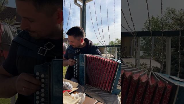 Гармонист отжигает! Музыка Для Мужика Ленинград смотреть онлайн