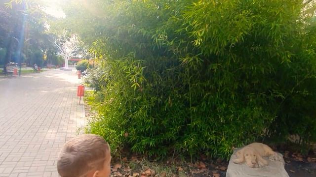 Лазаревское Сочи прогулка по городу.. обстановка в городе.2 ноября 2022 смотреть онлайн