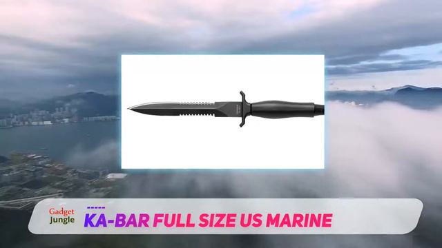 Best Tactical Knife 2023 - Gerber Mark II Knife 22-01874 Review смотреть онлайн