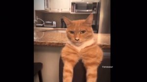 МЬЮИНГ - правда или очередной пустой тренд? Работает ли тренд 2023-го СЕЙЧАС?