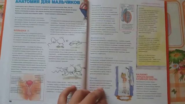 Мое тело меняется.Все, что хотят знать подростки и о чем стесняются говорить родители. изд.Clever. смотреть онлайн