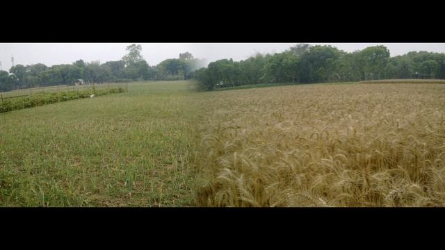 Nokia E72 Camera Test 2023 || Nokia Old Flagship Phone E72 Camera System || Technology Lover смотреть онлайн