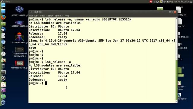 Get an OS DUMP in the Linux Terminal смотреть онлайн