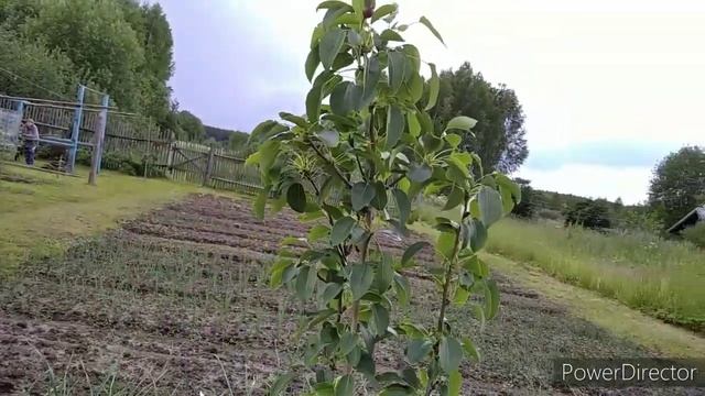 Жизнь в деревне смотреть онлайн