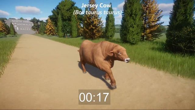 North America Animals Speed Races in Planet Zoo included Holstein Cow, Grizzly Bear, Alligator & et смотреть онлайн
