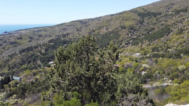 DJI Osmo Pocket. 4К 60fps. 25.04.2019 Голубой Залив. смотреть онлайн