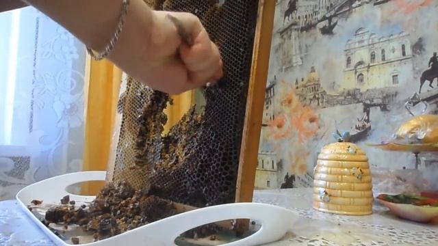 Пчеловодство - Извлечение перги из рамки. ( добыча перги ) смотреть онлайн