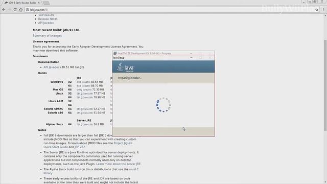 Java Development Kit 9 Early-Access Builds Download & Installation смотреть онлайн