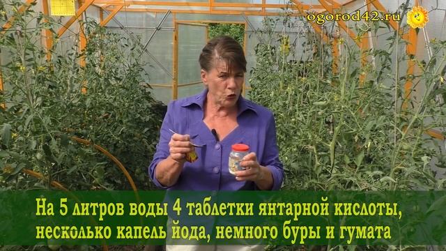 Дешевые и эффективные удобрения. Подкормки томатов в июле смотреть онлайн