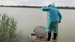 Рыбалка Дунай. Вилково. Дикие места, рай для рыбаков. Дунайская селёдка