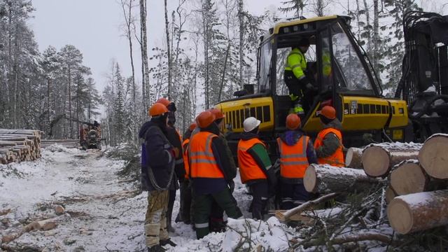 Обучения на оператора харвестера и форвардера PONSSE смотреть онлайн