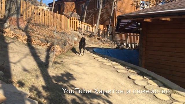 Суки азиатки повзрослели. Дружба или вражда? смотреть онлайн