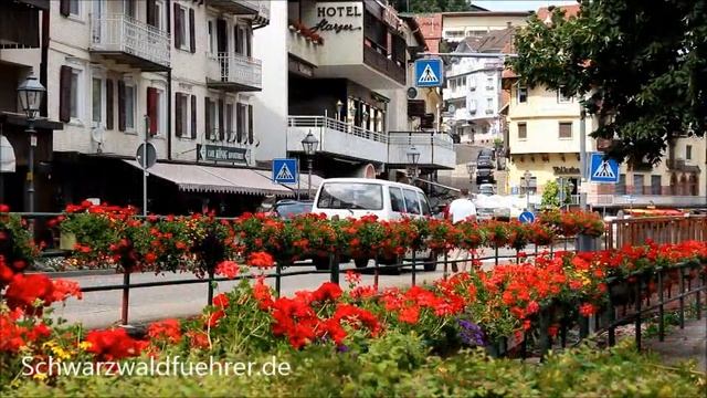 Bad Herrenalb im Nordschwarzwald смотреть онлайн