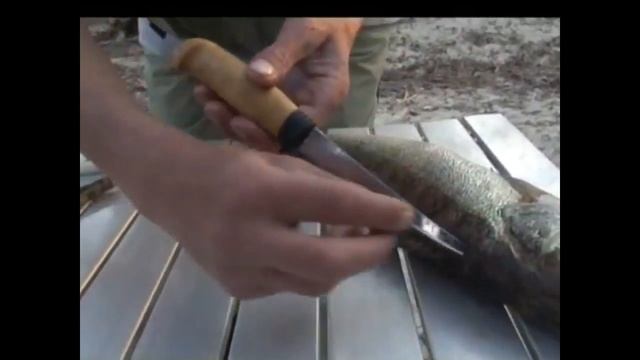 Печеный судачок, подкопченый травами смотреть онлайн