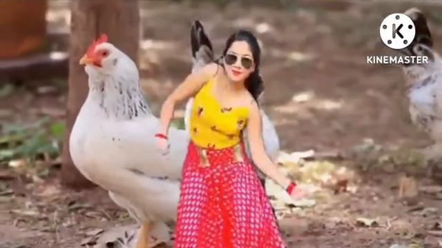 Chicken Dance Video|J.Geco- ChickenSong| Chicken Song Part 1 ????#chickendance#chicken Video #short