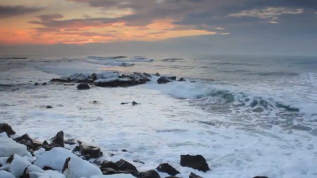 Beautiful ocean and birdsong / Красивый океан и пение птиц смотреть онлайн