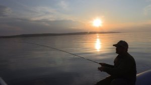 Taifun 20 лет юбилейная серия. Испытание в деле...