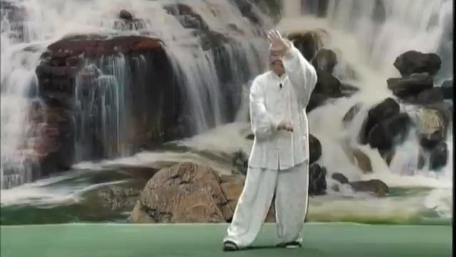 Tai Chi Yang 13 Form смотреть онлайн