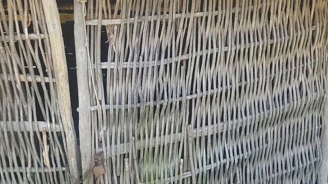 Музей Пирогова Закарпатье смотреть онлайн