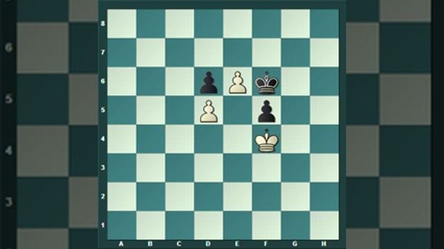 Эндшпиль. Остаться в живых. Часть 5 