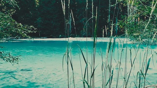 Медитация| Река процветания смотреть онлайн