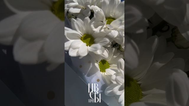 Хочу цветы - цветочный бутик в Калининграде смотреть онлайн