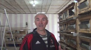 Разведение кроликов калифорнийской породы в ЛПХ Сахон Харьковская область