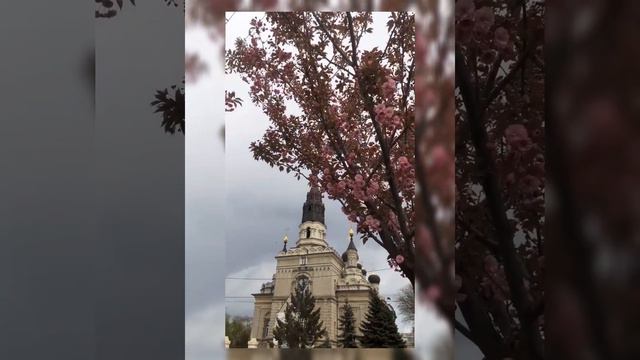 Кафедральний Собор Касперівської ікони Божої Матері 22.04.2023вулиця Садова 🇺🇦Миколаїв смотреть онлайн