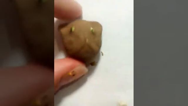 Как сделать мини реборна котика, 1 часть смотреть онлайн