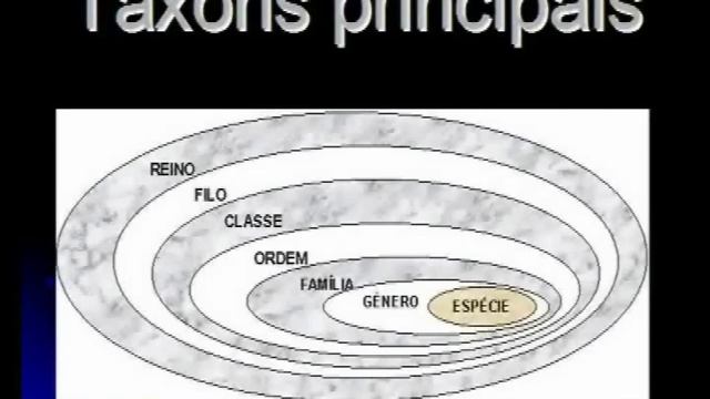 Taxonomia 1 Classificação dos seres vivos Introdução смотреть онлайн