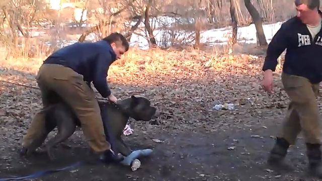 Сафар и инструктор (часть 2) смотреть онлайн